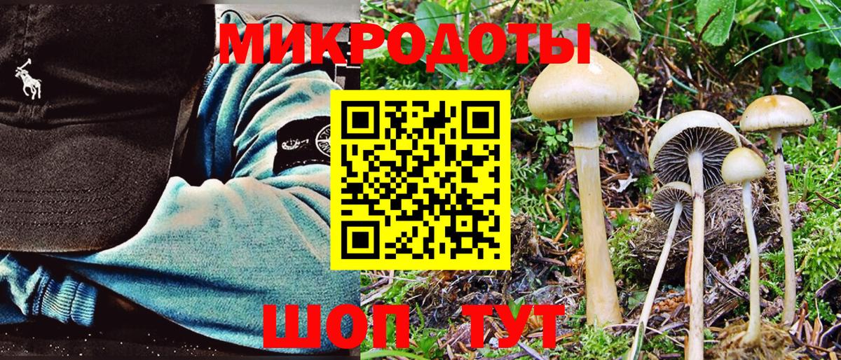Псилоцибиновые грибы GOLDEN TEACHER  Галлюциногенные грибы Magic Shrooms  Дальнереченск  Вход с VPN 